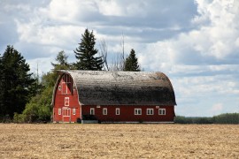 Near Calmar