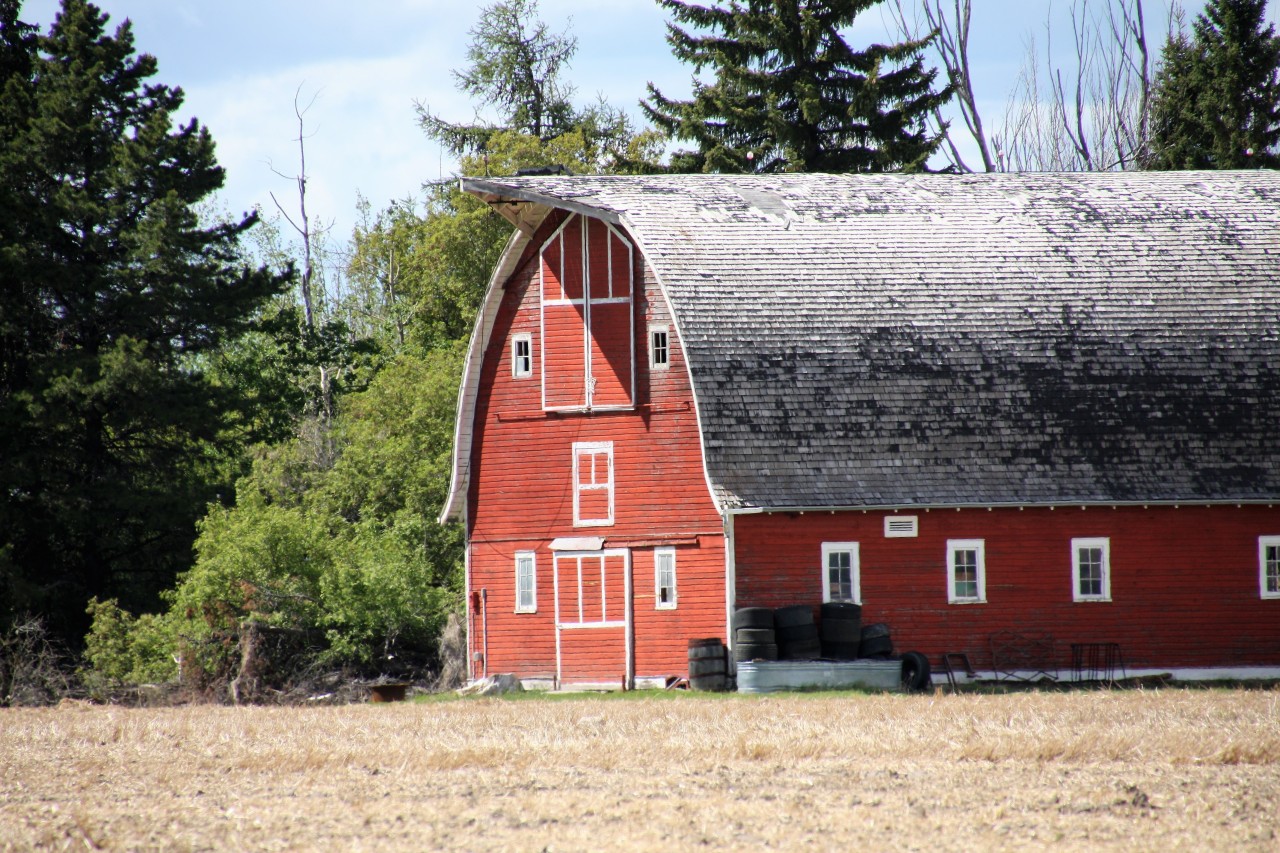 Near Calmar