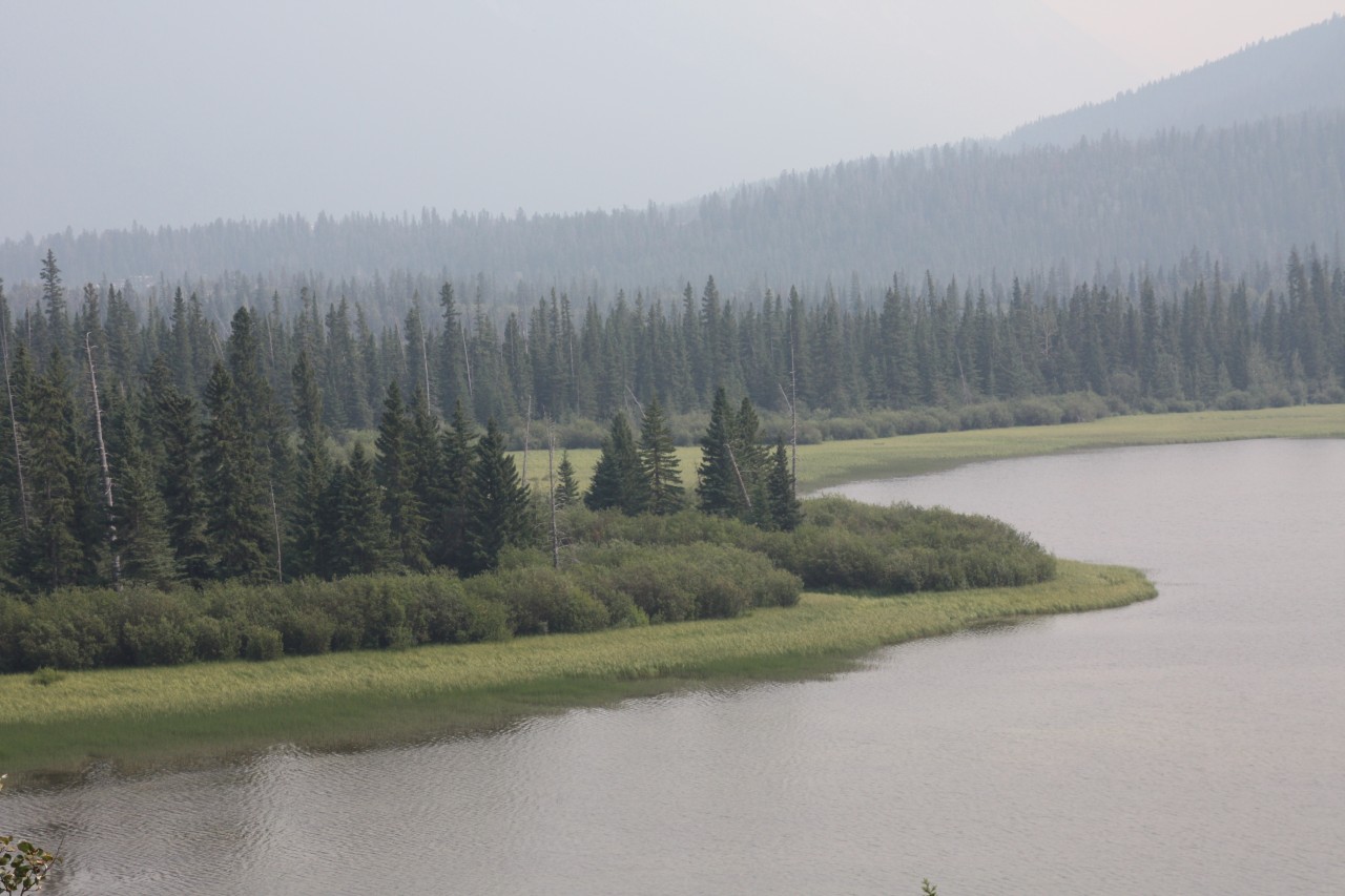 Near Banff